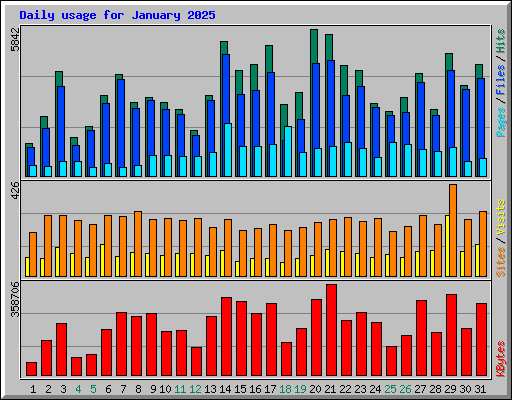 Daily usage for January 2025