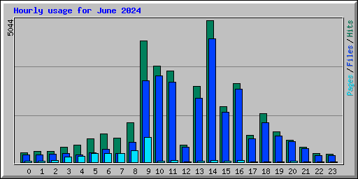 Hourly usage for June 2024