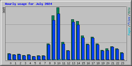 Hourly usage for July 2024