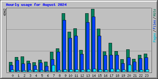 Hourly usage for August 2024