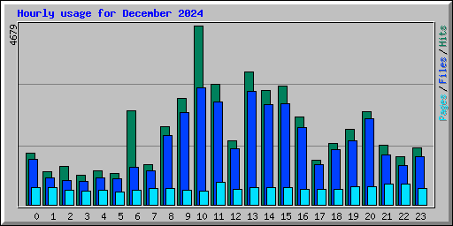 Hourly usage for December 2024