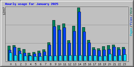 Hourly usage for January 2025