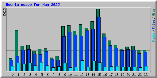 Hourly usage for May 2025