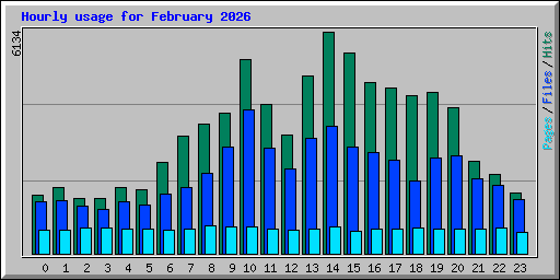 Hourly usage for February 2026