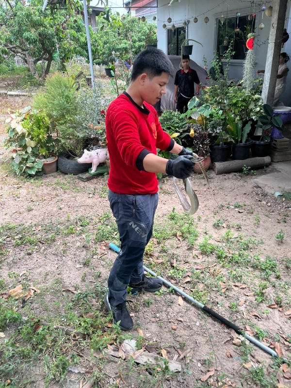 งานป้องกันแล้วบรรเทาสาธารณภัย ออกจับงู หมู่ที่ 1